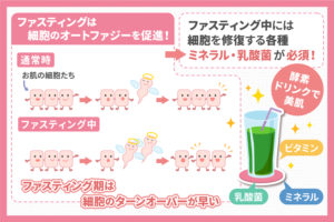 ファスティングで若々しい美肌を作るポイントは酵素ドリンクを飲むこと